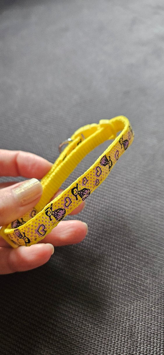 Renkli Sarı Köpek Boyun Tasması - Görsel 2