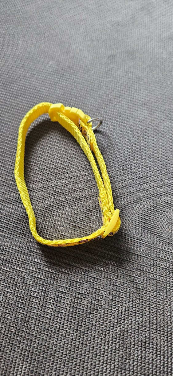 Renkli Sarı Köpek Boyun Tasması - Görsel 3