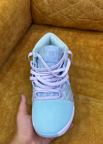 Nike Lebron