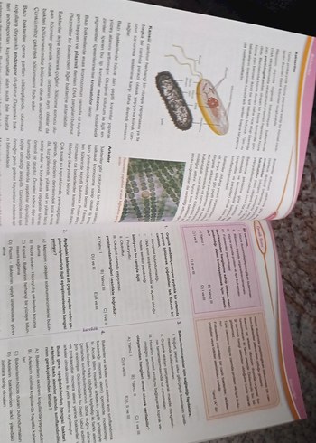 Biyoloji Sıfır - Lise Temellendirme Kitabı - Görsel 3