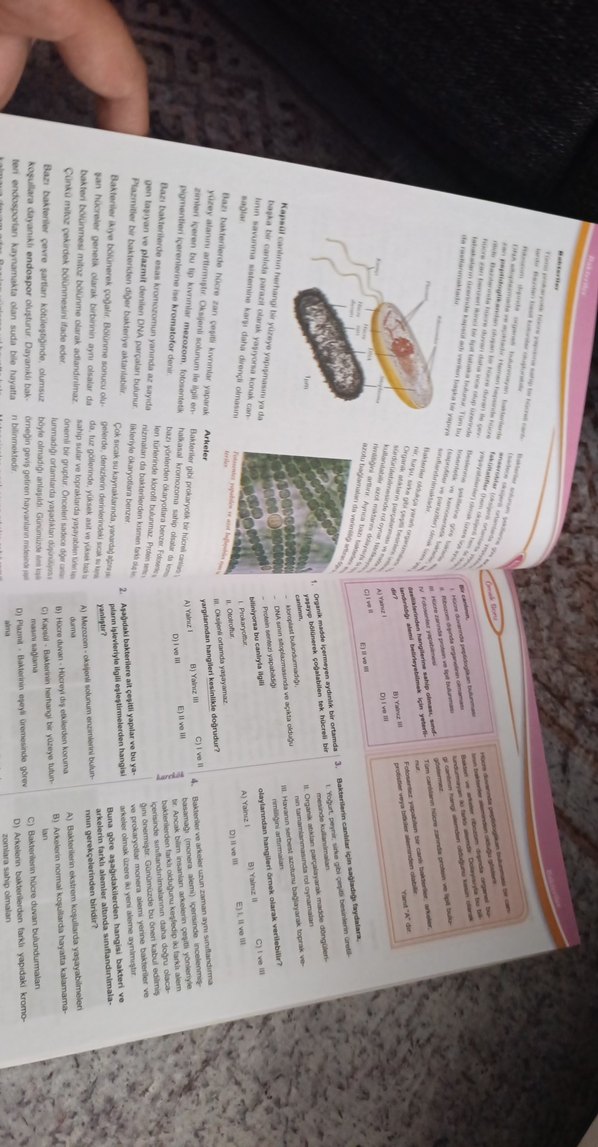 Biyoloji Sıfır - Lise Temellendirme Kitabı - Görsel 3