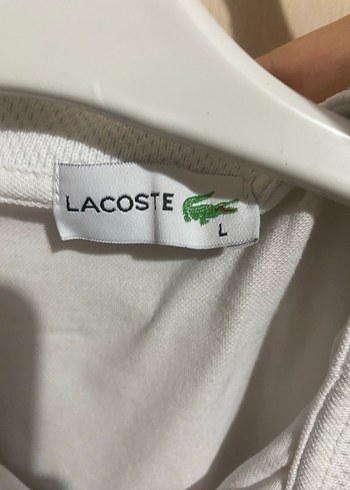 lacoste tişört erkek - Görsel 2