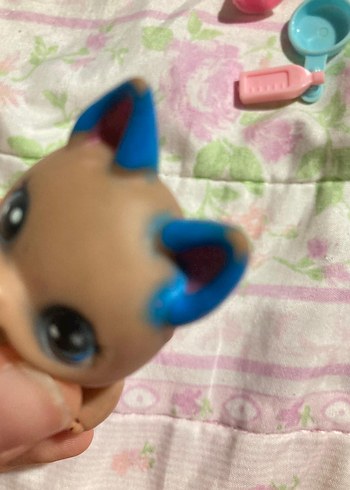 lps miniş - Görsel 6