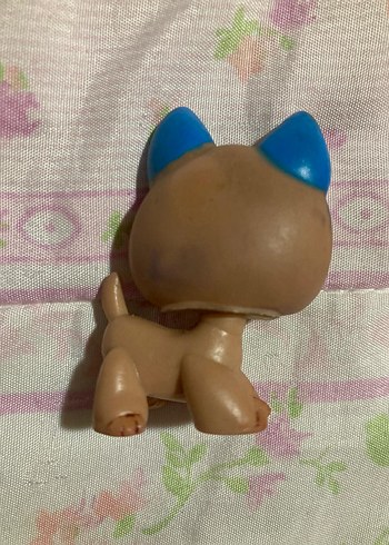 lps miniş - Görsel 5