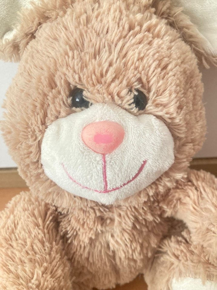 Oyuncak Peluş Tavşan - Görsel 5