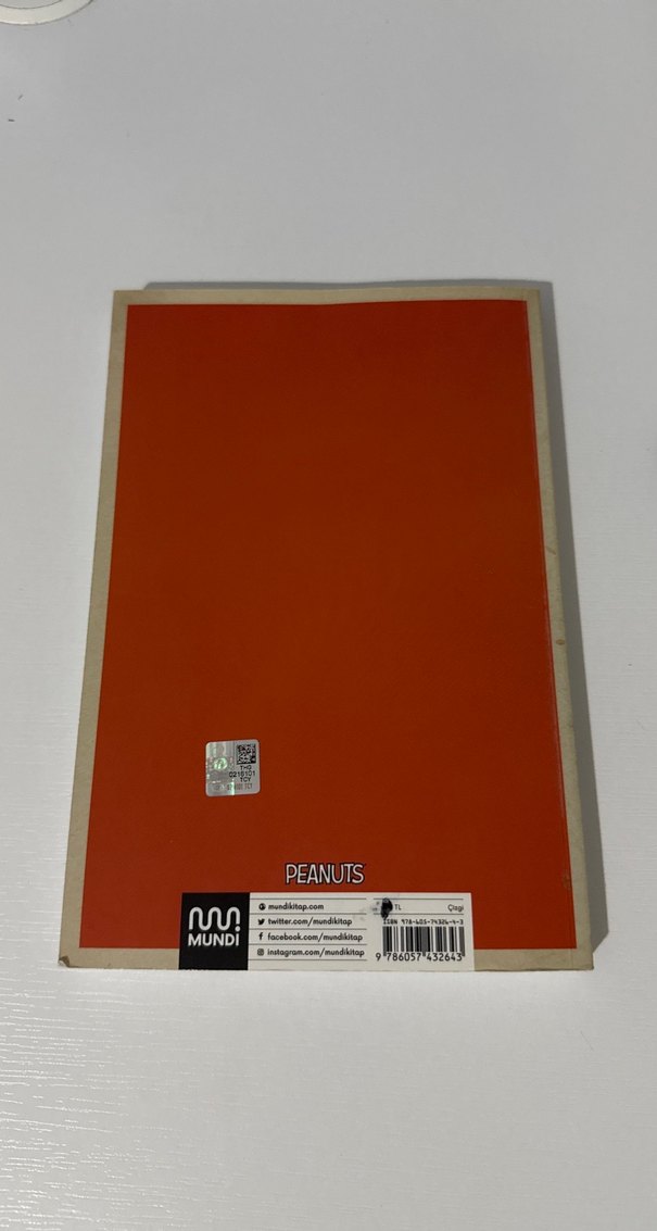 Aşk Dediğin Nedir, Charlie Brown? - Charles M. Schulz - Görsel 4