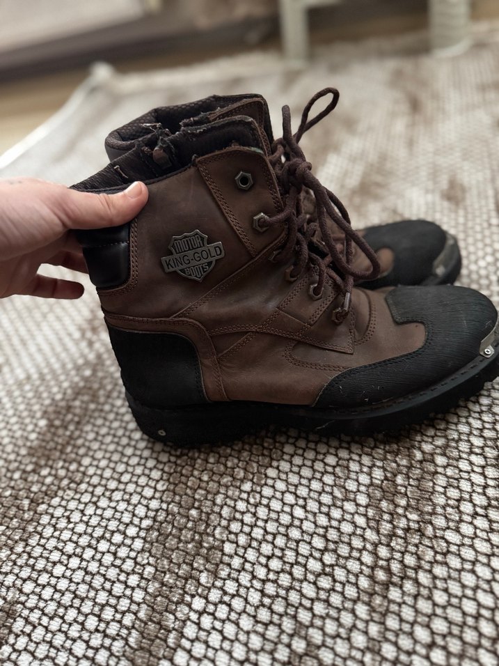 Erkek kar botı - Görsel 2