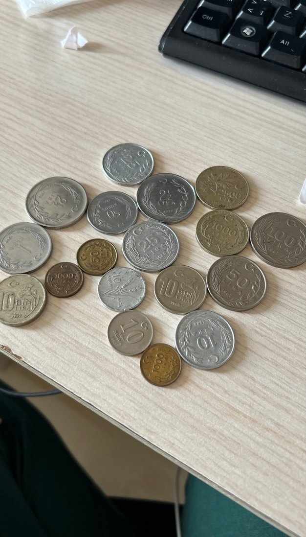 Gri Tonlarda Koleksiyonluk Madeni Paralar - Görsel 2