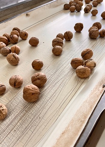 İnce kabuk %65 ceviz içi 2 kilo - Görsel 2