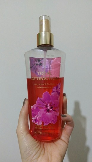 vistorias secret