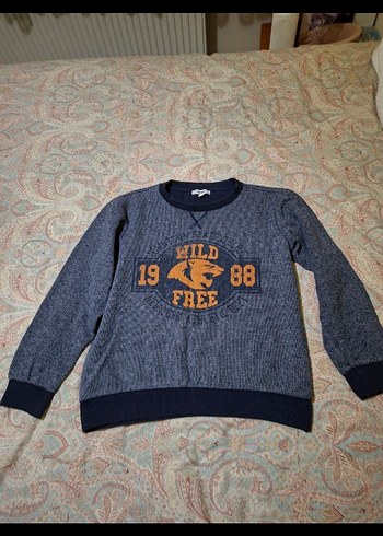 Gri Erkek  Sweatshirt, Uzun Kollu, Rahat Kesim - Görsel 2