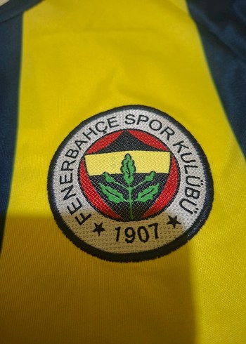 Sarı Gri Kısa Kollu Erkek fenerbahce forması 2024 2025 - Görsel 2