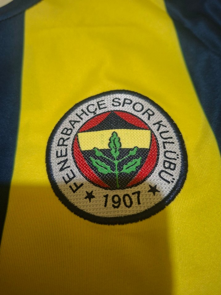 Sarı Gri Kısa Kollu Erkek fenerbahce forması 2024 2025 - Görsel 2