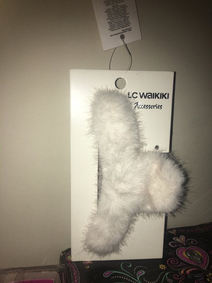 Beyaz Tüylü kuskaçlı toka - Görsel 2