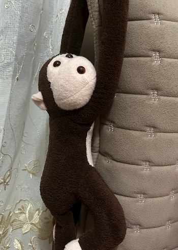 pelus maymun
