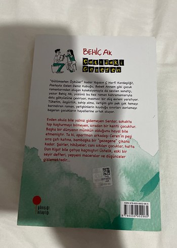 Çatıdaki Gezegen - Behiç Ak