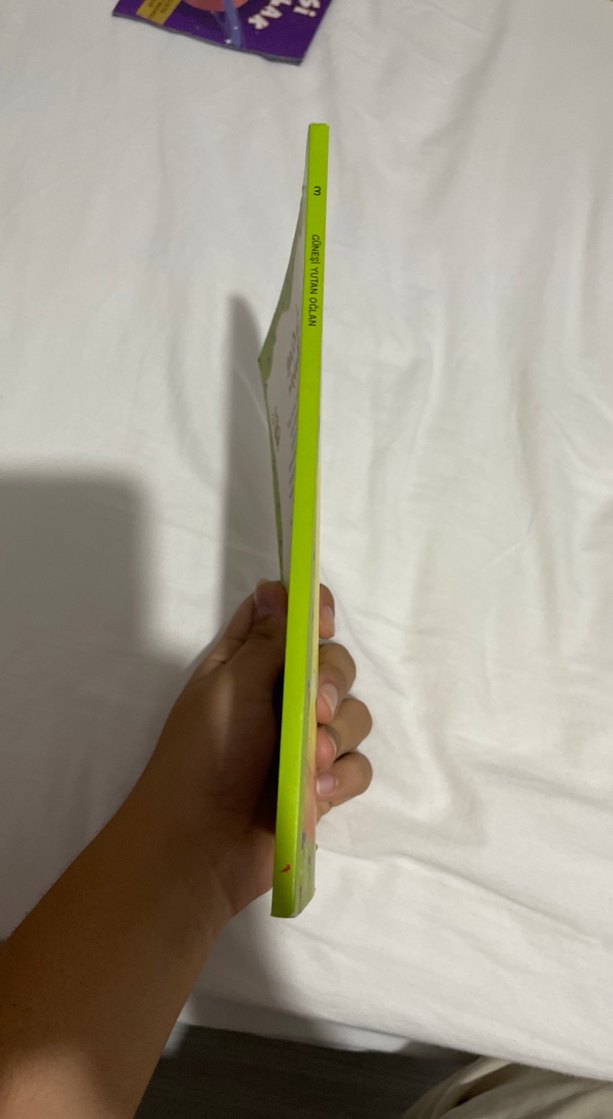 Güneşi Yutan Oğlan - Sevinc Kuşoğlu - Görsel 3