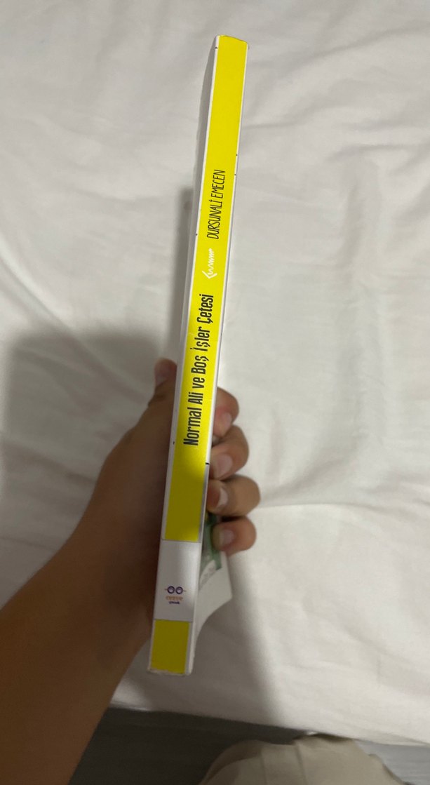 Normal Ali ve Boş İşler Çetesi - Dursunali Emecen - Görsel 3