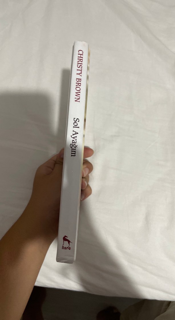 Sol Ayağım - Christy Brown - Görsel 4