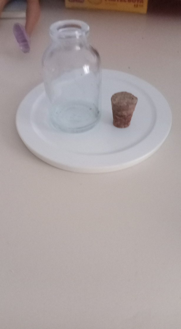 Tıpalı Beyaz Cam  Şişe - Görsel 4