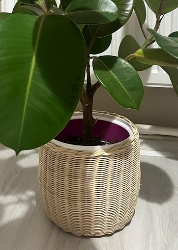 Hasır Saksı - Görsel 4