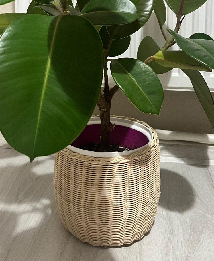 Hasır Saksı - Görsel 4