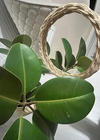 Bohem Hasır El Yapımı Ayna - Görsel 2