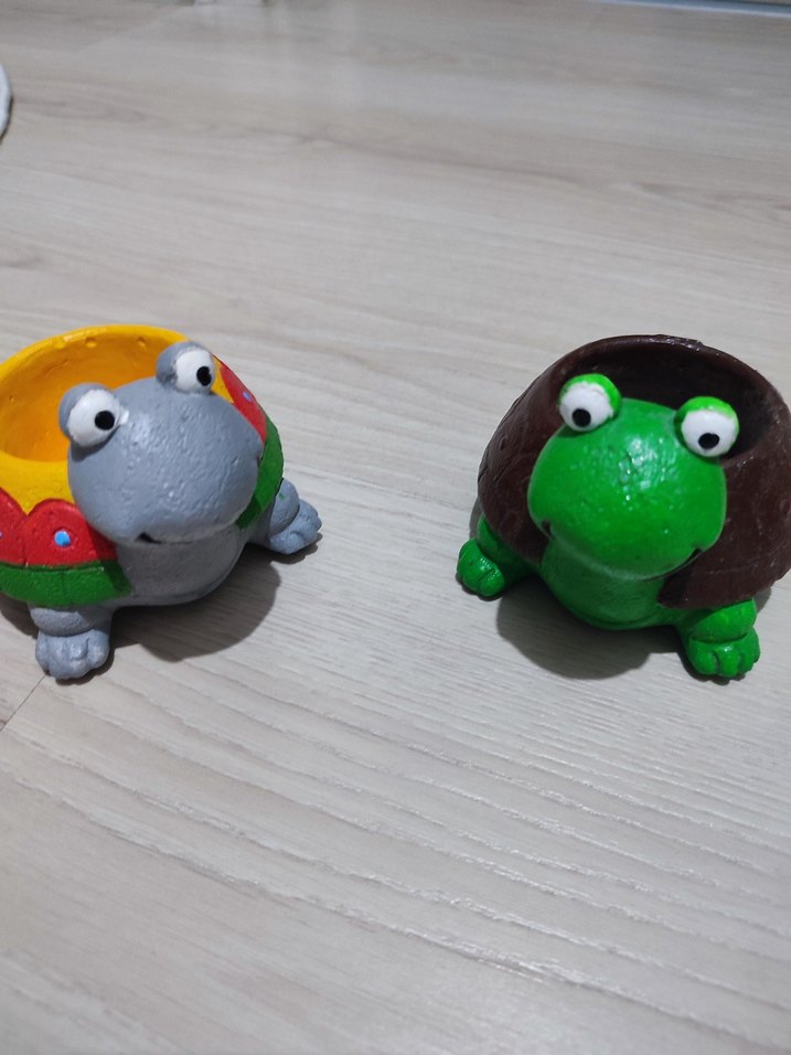 İkili Renkli Kaplumbağa Saksı Seti - Görsel 2