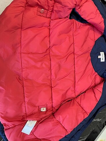 6 Yaş Beden lacivert Renk Lacoste mont