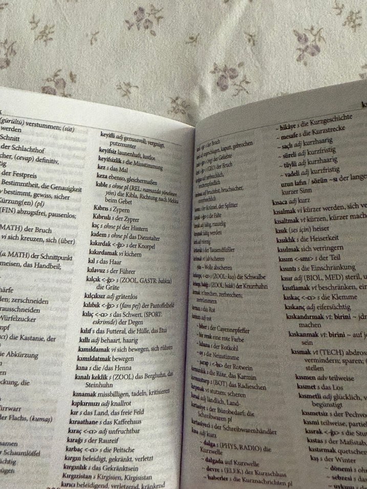 Almanca-Türkçe Sözlük - Görsel 2