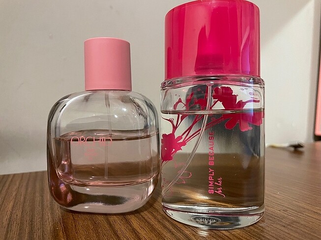Zara Orchid