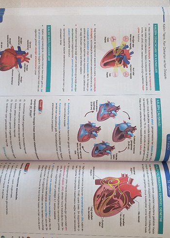  Beden AYT Biyoloji Eğitim Seti 34 Fasikül Kitabı