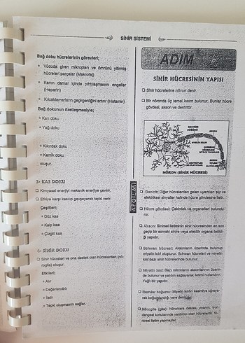  APOTEMI Spiral Defter - SİSTEMLER