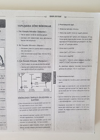  Beden Renk APOTEMI Spiral Defter - SİSTEMLER