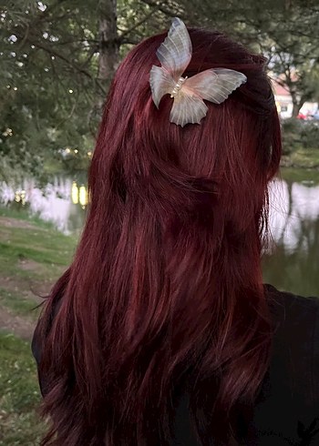 Zara Bej Transparan Kelebek Saç Aksesuarı