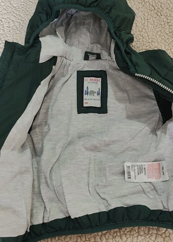 Erkek Çocuk Yeşil Fermuarlı Kapüşonlu Mont - Görsel 3