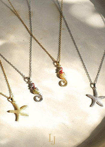 Gri Zincir Detaylı Deniz Yıldızı Kolye - Görsel 2