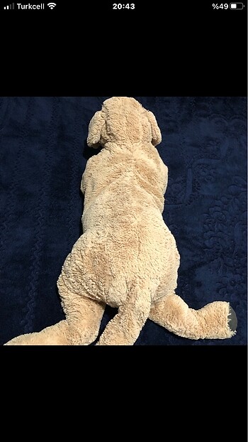  Beden Ikea köpek oyuncak