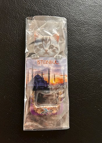 Çeşitli magnetler, açacak - Görsel 5