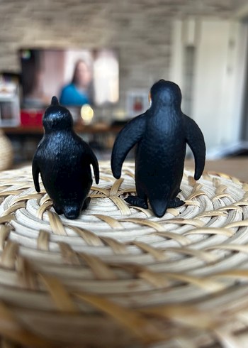 Beden Renk Penguen Figürleri