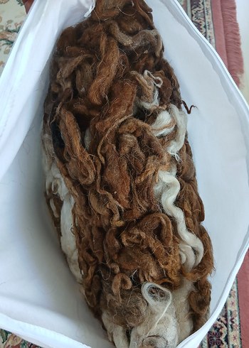 Beden hakiki yün Yastık