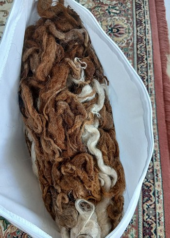 Beden beyaz Renk hakiki yün Yastık