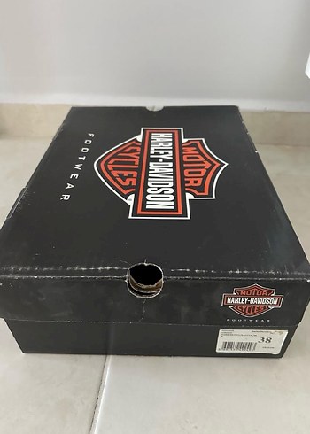 Erkek Kahverengi  bot - Görsel 3