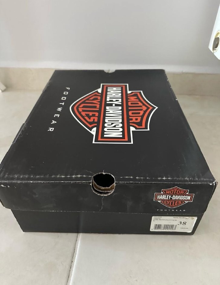 Erkek Kahverengi  bot - Görsel 3