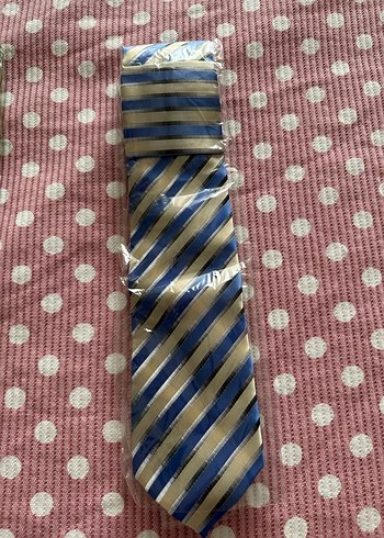 Çok Renkli Erkek Kravat Seti - Görsel 2