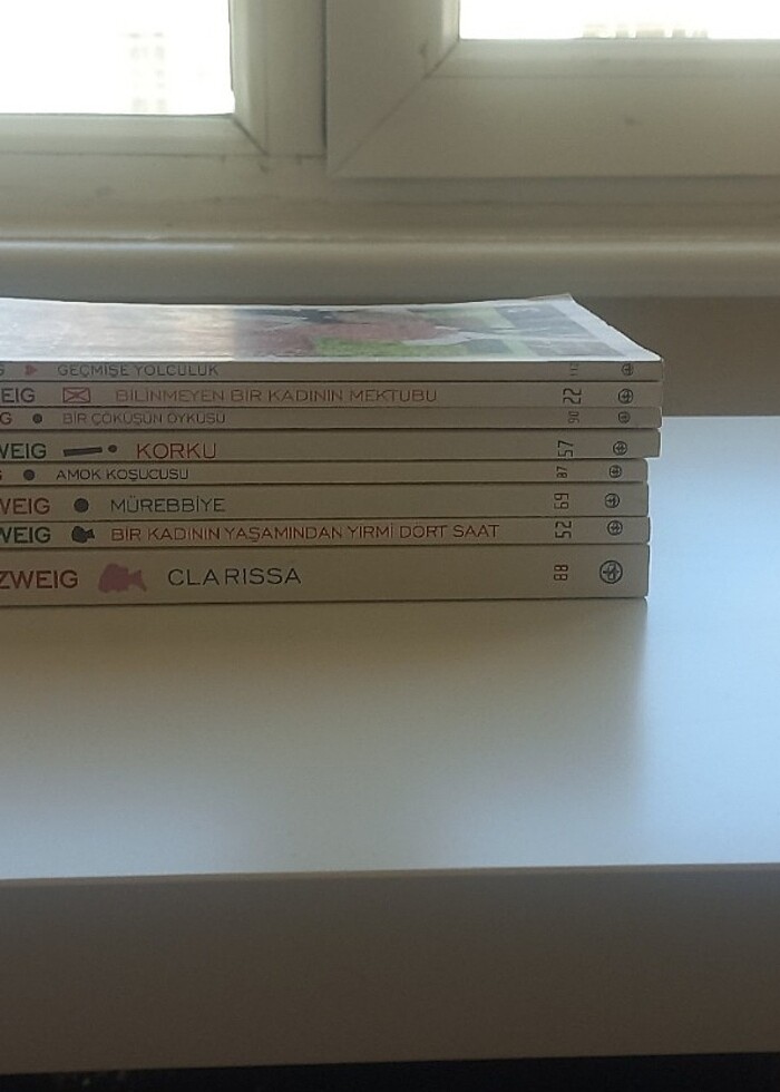 Stefan Zweig 8 hikaye kitabi - Görsel 2