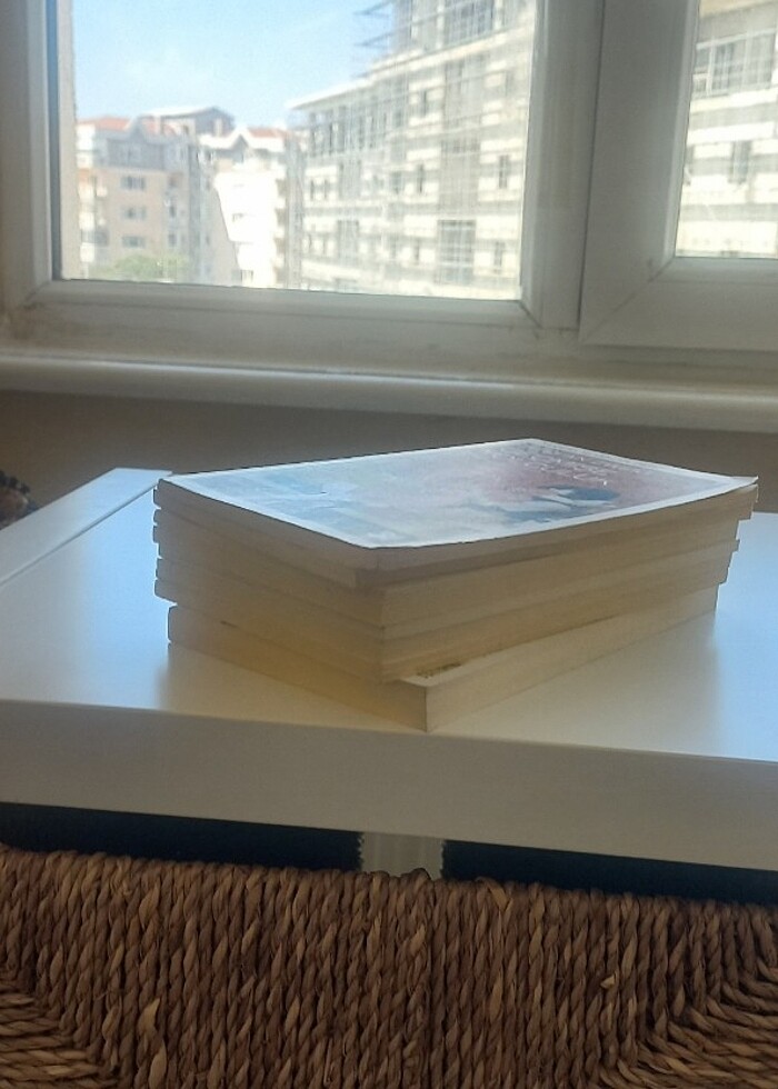 Stefan Zweig 8 hikaye kitabi - Görsel 3