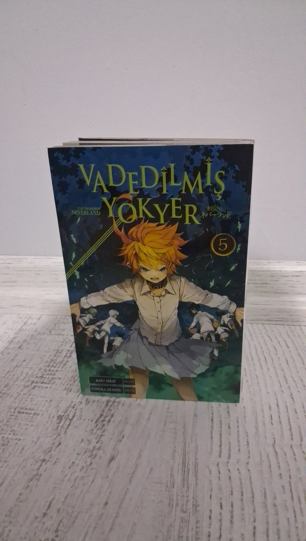 Vadedilmiş Yokyer 5. Cilt Manga - Görsel 2