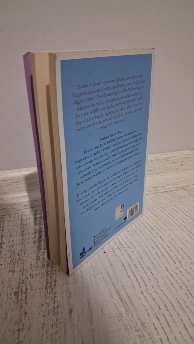 Halime Kaptan - Rıfat Ilgaz Romanı - Görsel 4