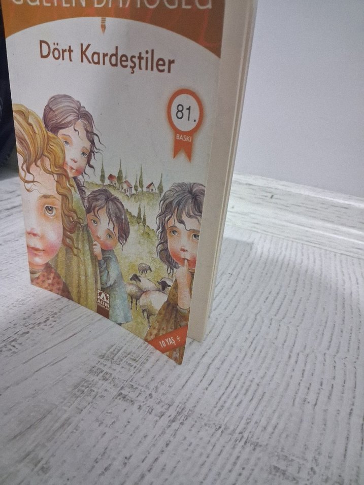 Dört Kardeştiler - Gülten Dayıoğlu - Görsel 4